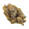 Tyson | Kootenay Quad Premium 28G