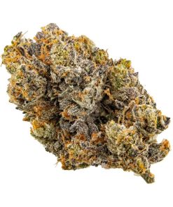 Tyson | Kootenay Quad Premium 28G