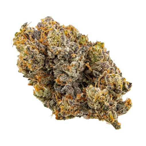 Tyson | Kootenay Quad Premium 28G