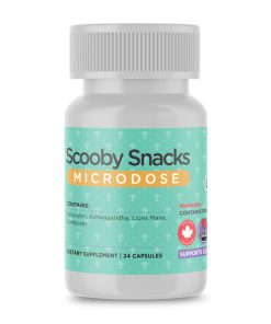 Scooby Snacks Shroom Microdose Deadhead Chemist (24)