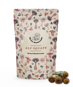 ALC Squats Magic Mushrooms - Mystic Mushrooms