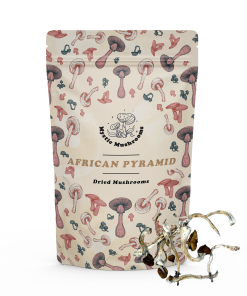 African Pyramid Magic Mushrooms - Mystic Mushrooms