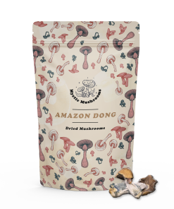 Amazon Dong Magic Mushrooms - Mystic Mushrooms