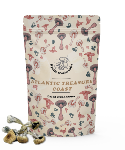 Atlantic Treasure Coast Magic Mushrooms - Mystic Mushrooms