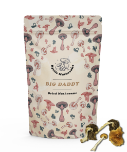 Zilla Magic Mushrooms - Mystic Mushrooms