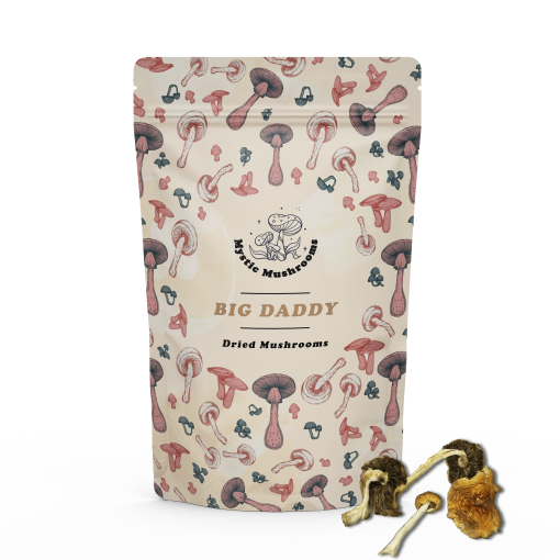 Zilla Magic Mushrooms - Mystic Mushrooms