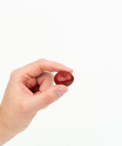 Wonder Psilocybin Gummies Cranberry