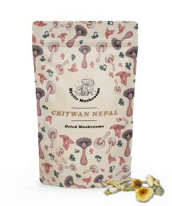 Chitwan Nepal Magic Mushrooms - Mystic Mushrooms