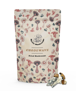 Chodewave Magic Mushrooms - Mystic Mushrooms