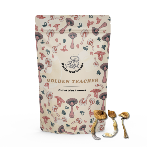 Golden Teacher Dried Mushrooms - Mystic Mushrooms