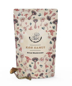 Koh Samui Magic Mushrooms - Mystic Mushrooms
