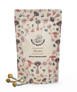 M100 Magic Mushrooms - Mystic Mushrooms