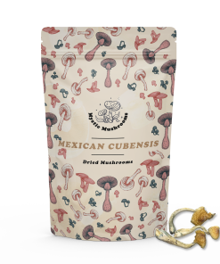 Mexican Cubensis Magic Mushrooms - Mystic Mushrooms