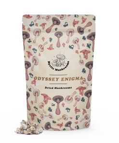 Odyssey Enigma dried Mushrooms - Mystic Mushrooms