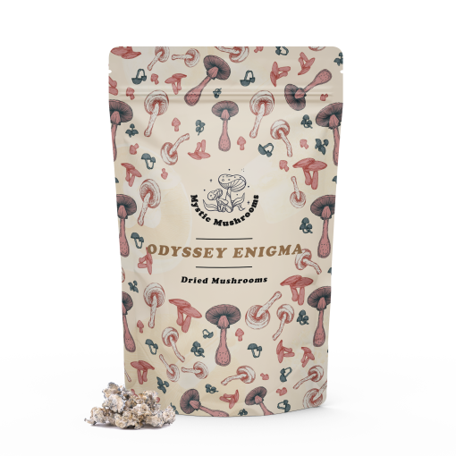 Odyssey Enigma dried Mushrooms - Mystic Mushrooms