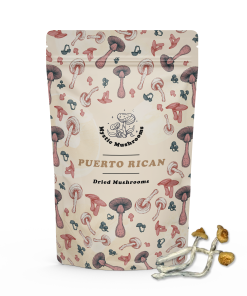 Puerto Rican Mockup - Mystic Mushrooms