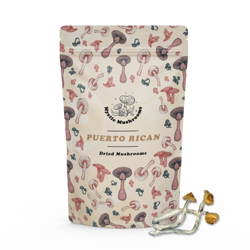 Puerto Rican Mockup - Mystic Mushrooms