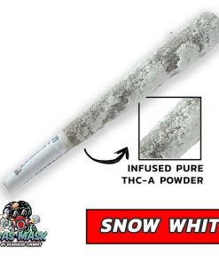 gas mask Snow White moon rocks