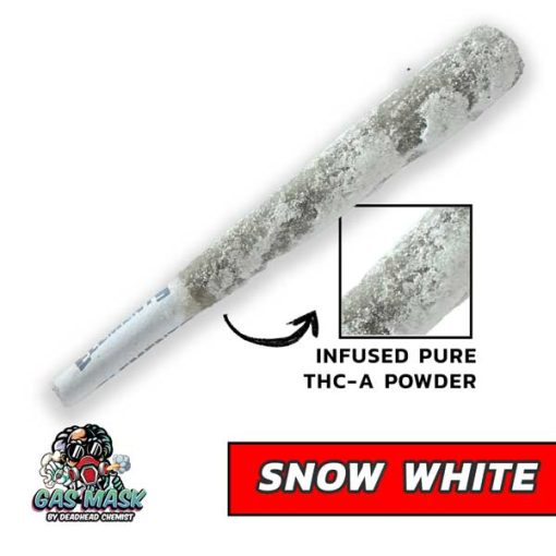 gas mask Snow White moon rocks