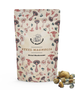 Steel Magnolia Mockup