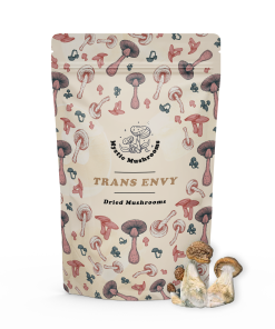 Trans Envy Mockup Mystic Mushrooms