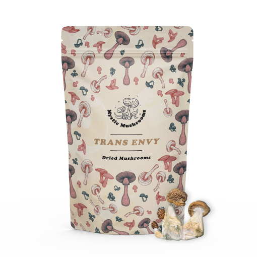 Trans Envy Mockup Mystic Mushrooms