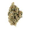 East Coast Sour Diesel Sativa