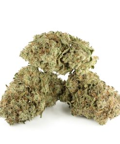 Green Crack Sativa 28G $49 BLOW OUT SALE