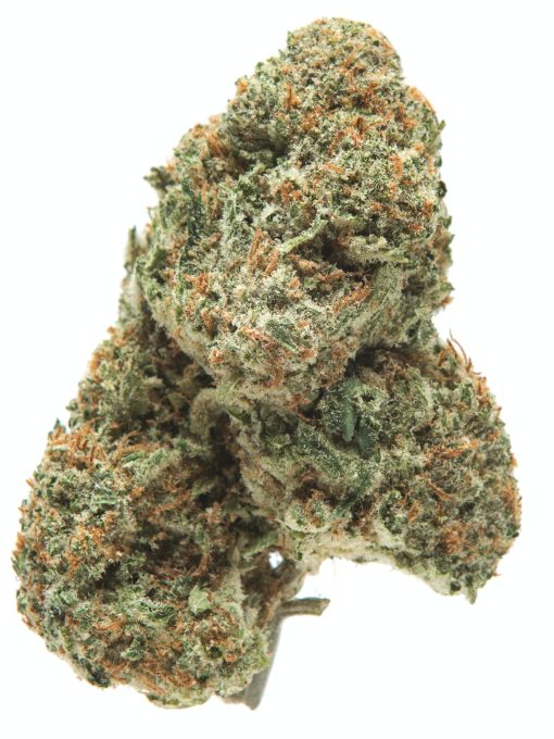 Kali Mist sativa