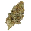 sour joker sativa