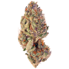Tropicana Cookies sativa