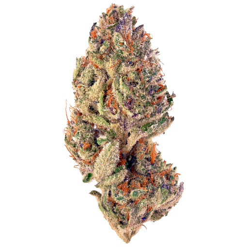 Tropicana Cookies sativa