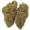 Chocolope Sativa 28G $49 BLOW OUT SALE
