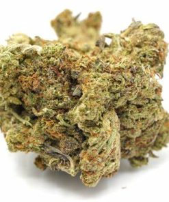 Granddaddy Purple Indica
