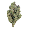green lantern sativa