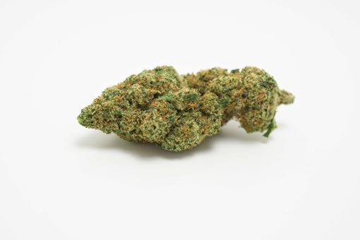 harlequin sativa