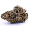 rootbeer sativa