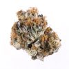 sativa