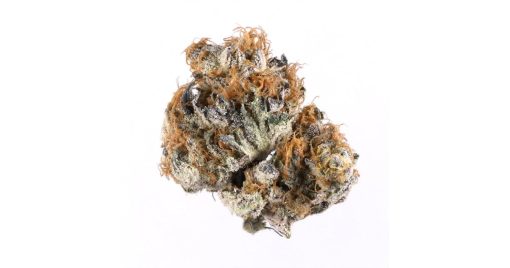 sativa