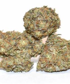 srrawberry cough sativa