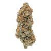 chocolate chip hybrid