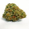 sunset sherbert hybrid
