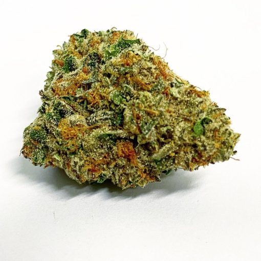 sunset sherbert hybrid