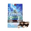 freeze dried icecream sandwich