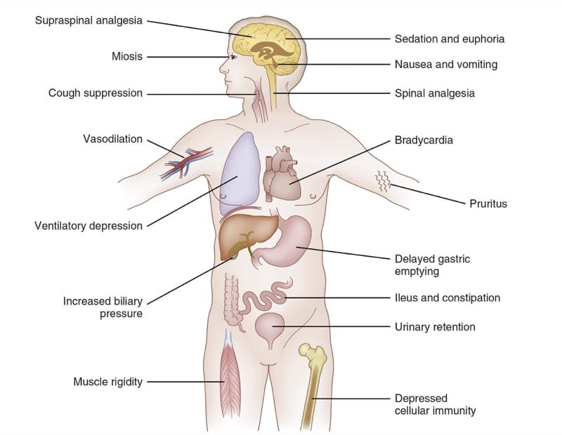 psychoactive and non- psychoactive